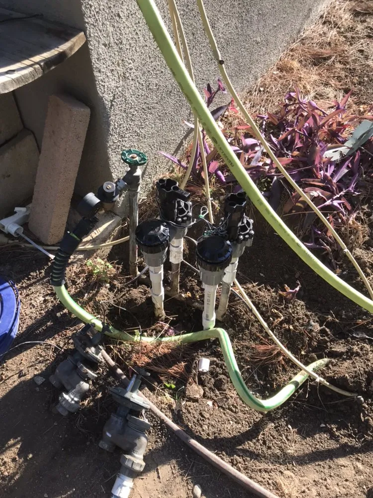 Expert landscape design in Santa Clarita, CA - EB Landscaping