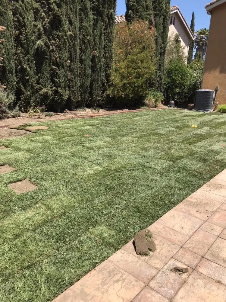 Top-rated landscape installation in Santa Clarita, CA - EB Landscaping