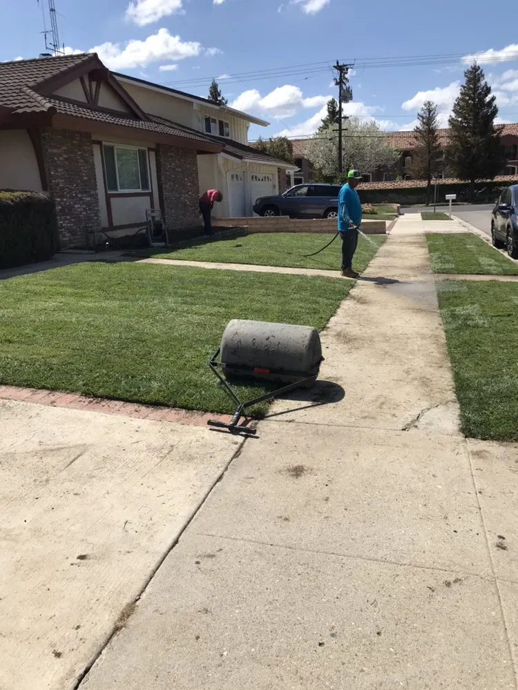 Affordable landscape installation for homes in Santa Clarita, CA by EB Landscaping