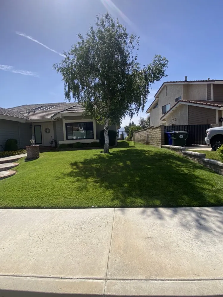 Local lawn care service experts serving Santa Clarita, CA - EB Landscaping