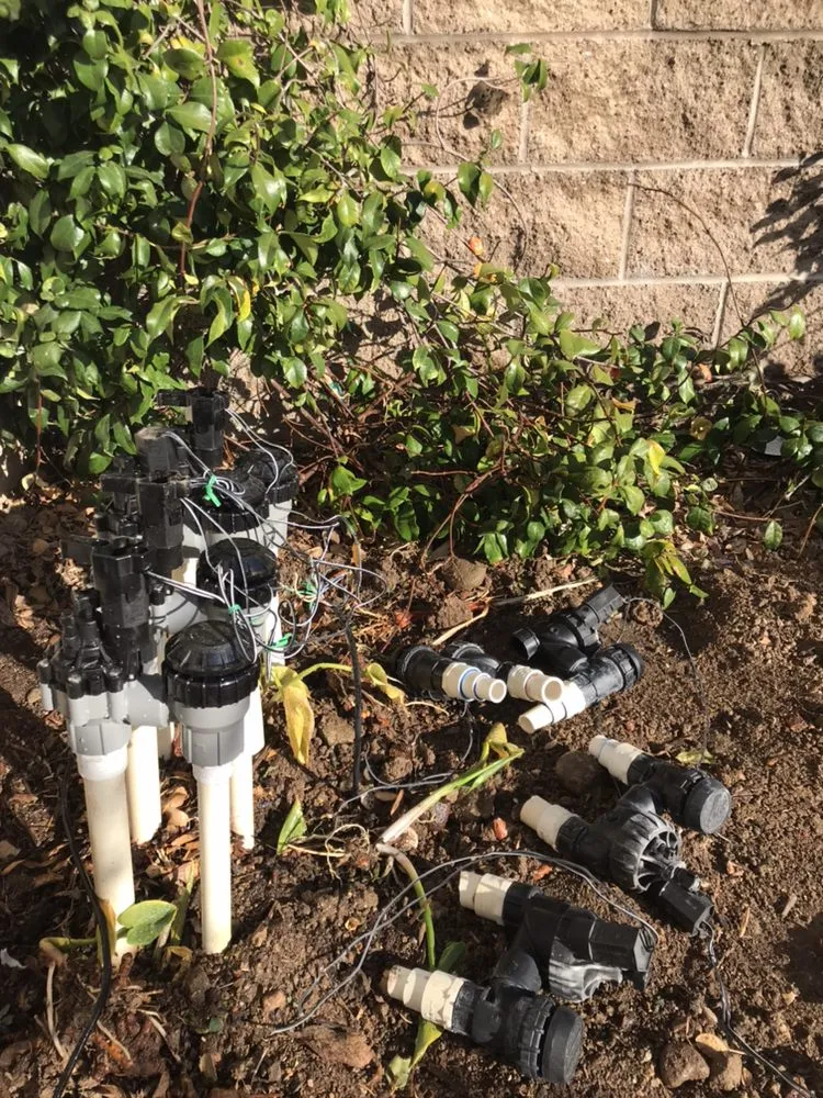 Custom yard maintenance in Santa Clarita, CA by EB Landscaping