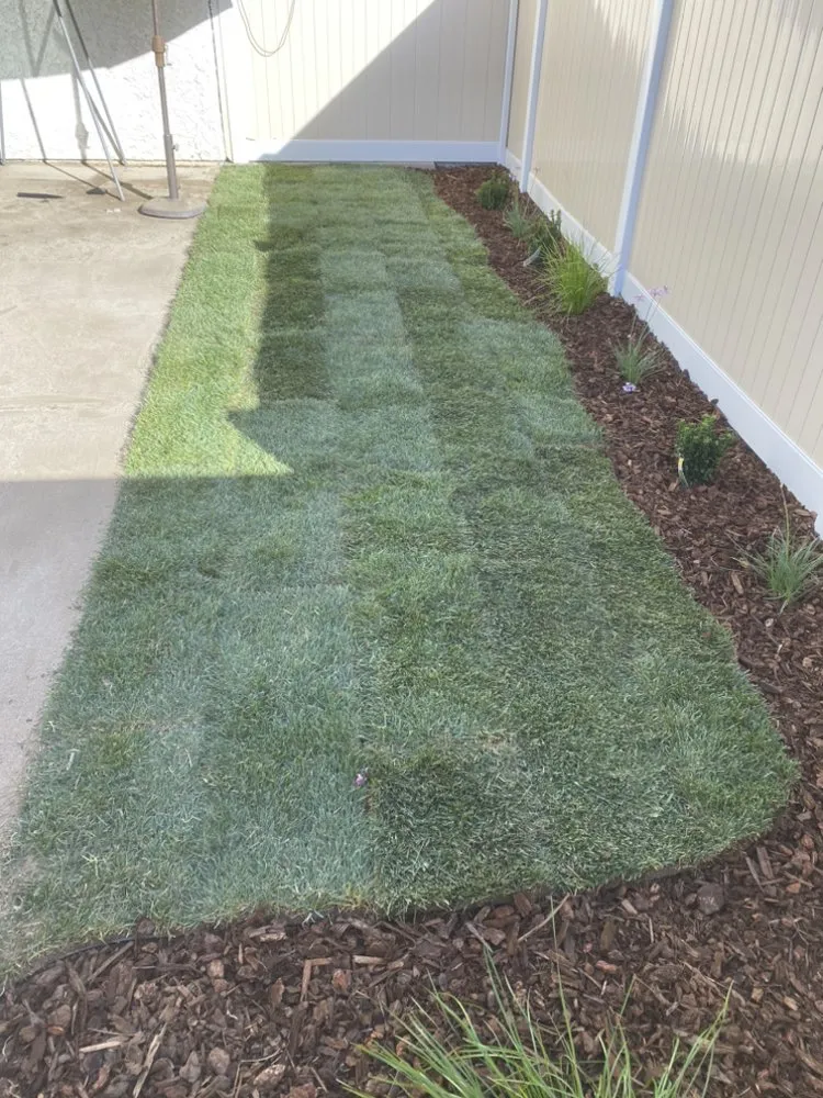 Trusted lawn care service near you across Santa Clarita, CA - EB Landscaping