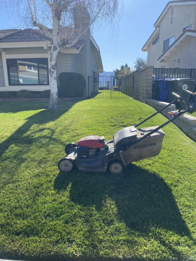 Professional landscape design experts serving Santa Clarita, CA - EB Landscaping