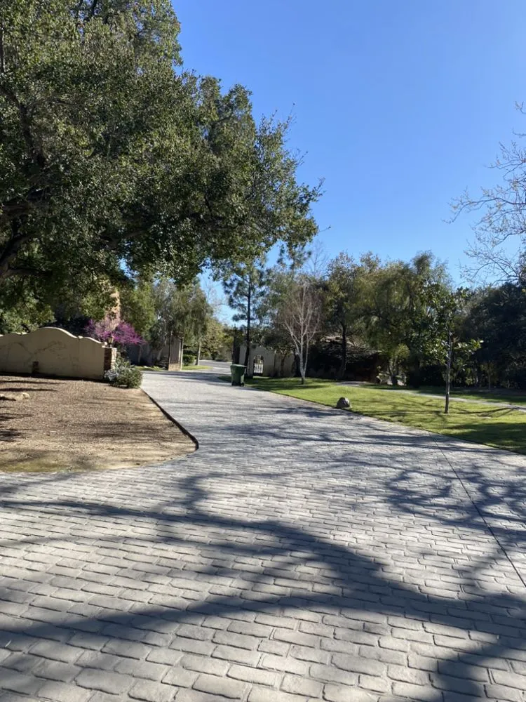 Reliable yard cleanup service experts serving Santa Clarita, CA - EB Landscaping