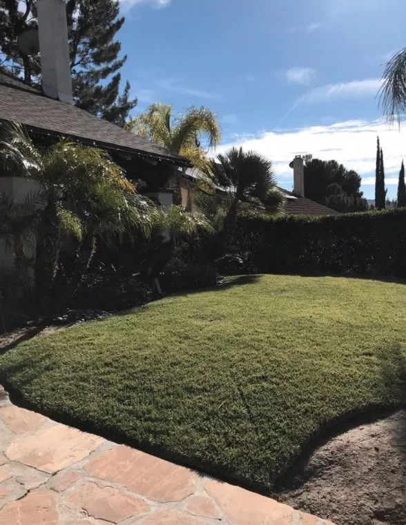 Custom yard maintenance in Santa Clarita, CA - EB lanpscaping