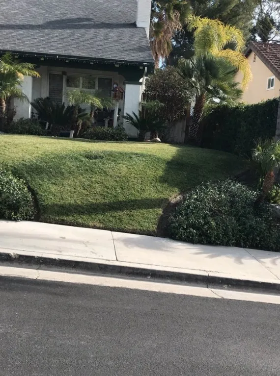 Reliable landscape design for residential properties across Santa Clarita, CA - EB lanpscaping