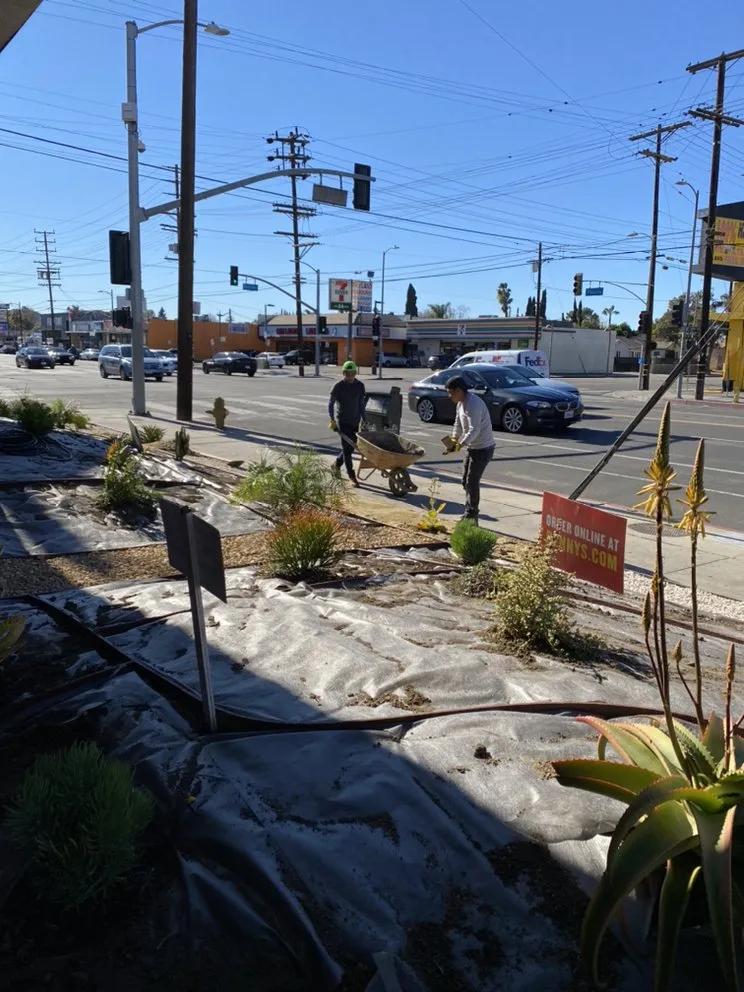 Affordable yard maintenance in Santa Clarita, CA - EB lanpscaping
