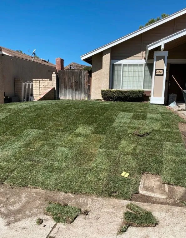 Reliable landscaping services in Santa Clarita, CA by EB lanpscaping