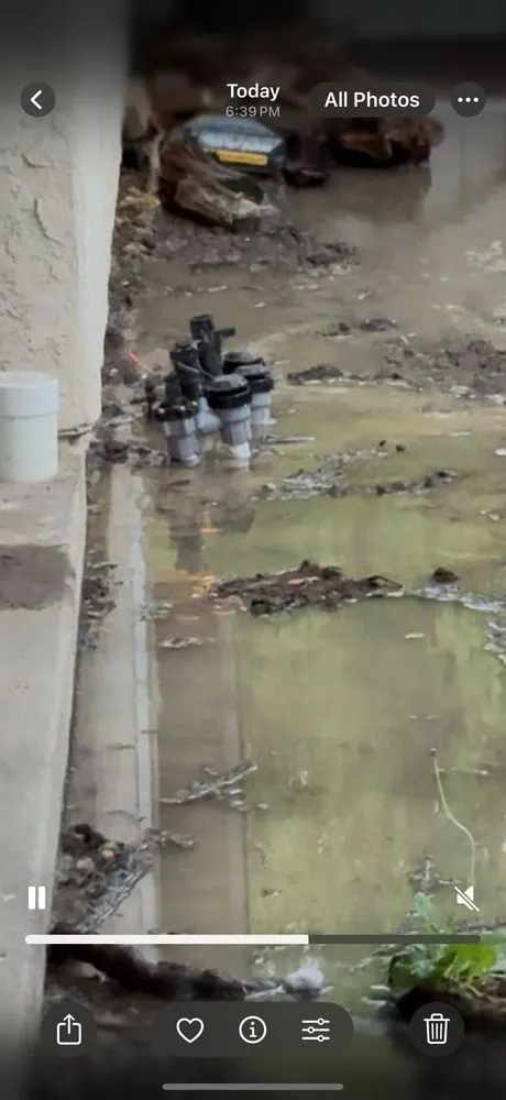 Local yard cleanup service experts serving Santa Clarita, CA - EB lanpscaping