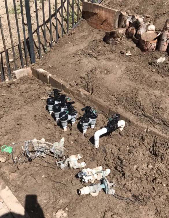 Reliable residential landscaping in Santa Clarita, CA by EB lanpscaping