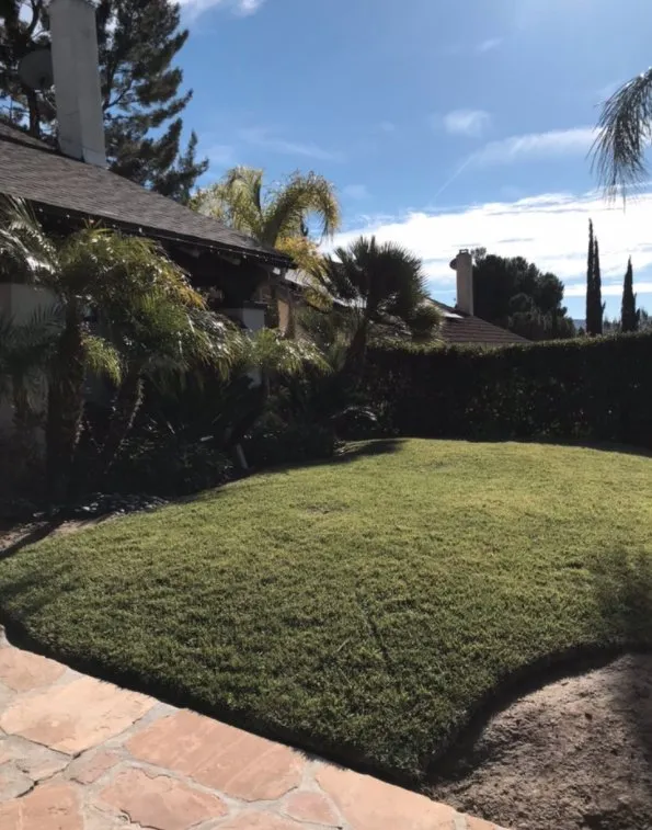 Expert yard cleanup service experts serving Santa Clarita, CA - EB lanpscaping