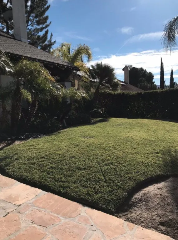 Expert landscaping services for outdoor upgrades across Santa Clarita, CA - EB lanpscaping