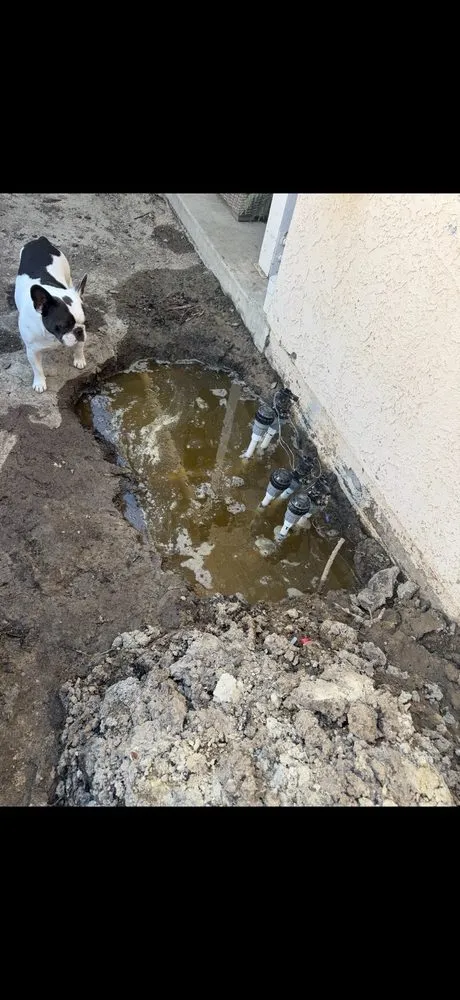 Local garden landscaping for residential properties across Santa Clarita, CA - EB lanpscaping