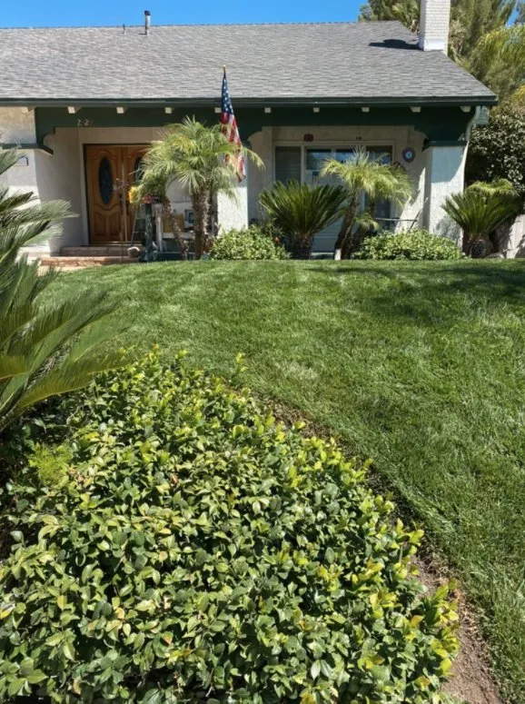 Professional landscape installation with custom design in Santa Clarita, CA by EB lanpscaping