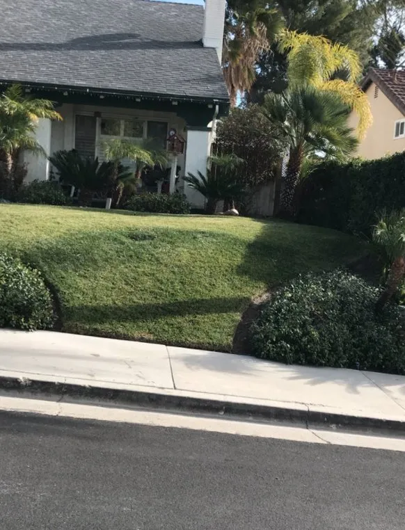 Trusted lawn care service for year-round maintenance in Santa Clarita, CA by EB lanpscaping