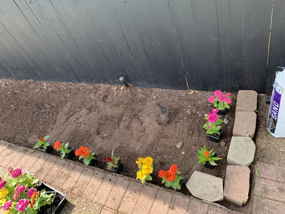 Expert lawn care service experts serving Fort Worth, TX - EB lawn care