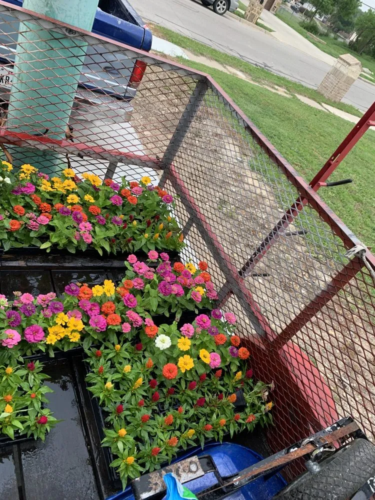 Reliable landscaping services in Fort Worth, TX - EB lawn care
