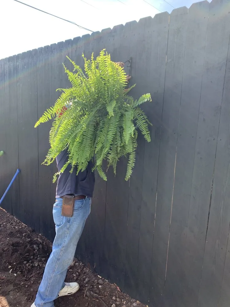 Top-rated lawn mowing service in Fort Worth, TX by EB lawn care