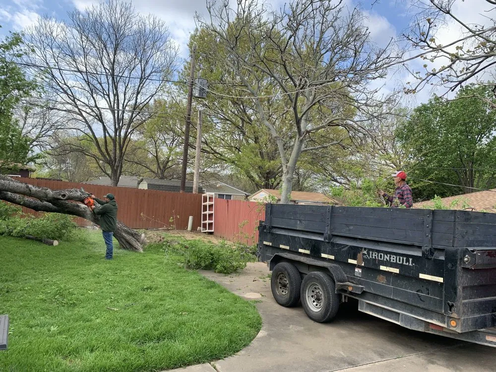 Local landscaping services for year-round maintenance in Fort Worth, TX by EB lawn care
