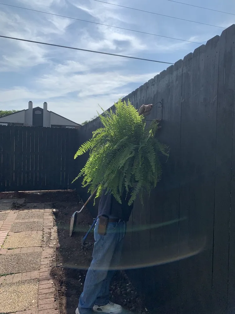 Reliable yard maintenance for homes in Fort Worth, TX by EB lawn care