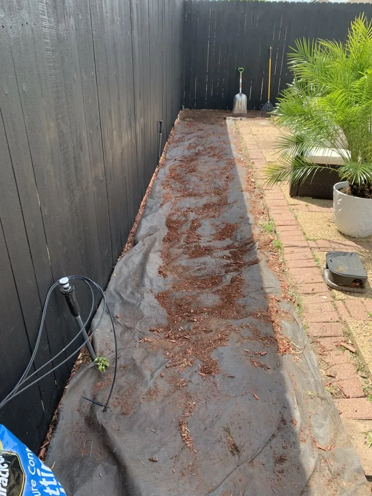 Professional lawn care service for outdoor upgrades in Fort Worth, TX by EB lawn care