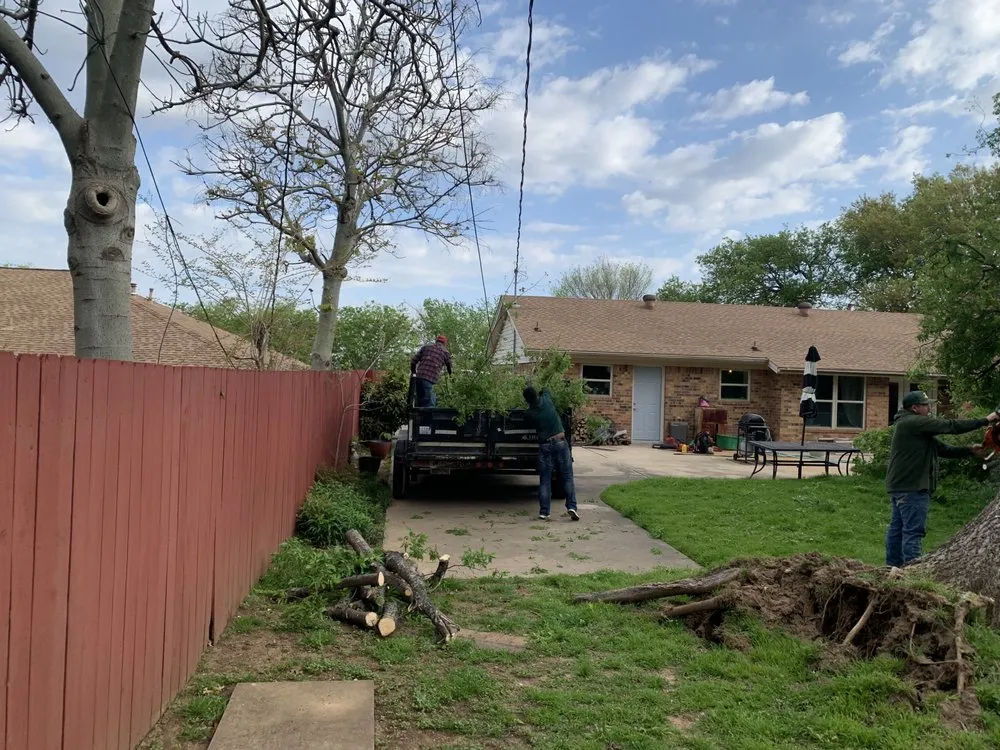 Reliable yard maintenance experts serving Fort Worth, TX - EB lawn care