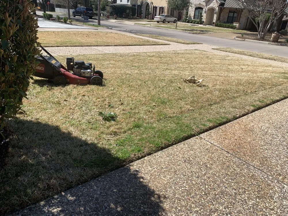 Professional yard cleanup service for beautiful yards across Fort Worth, TX - EB lawn care