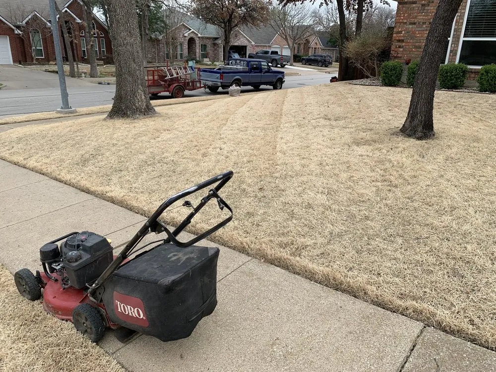 Expert lawn care service in Fort Worth, TX by EB lawn care