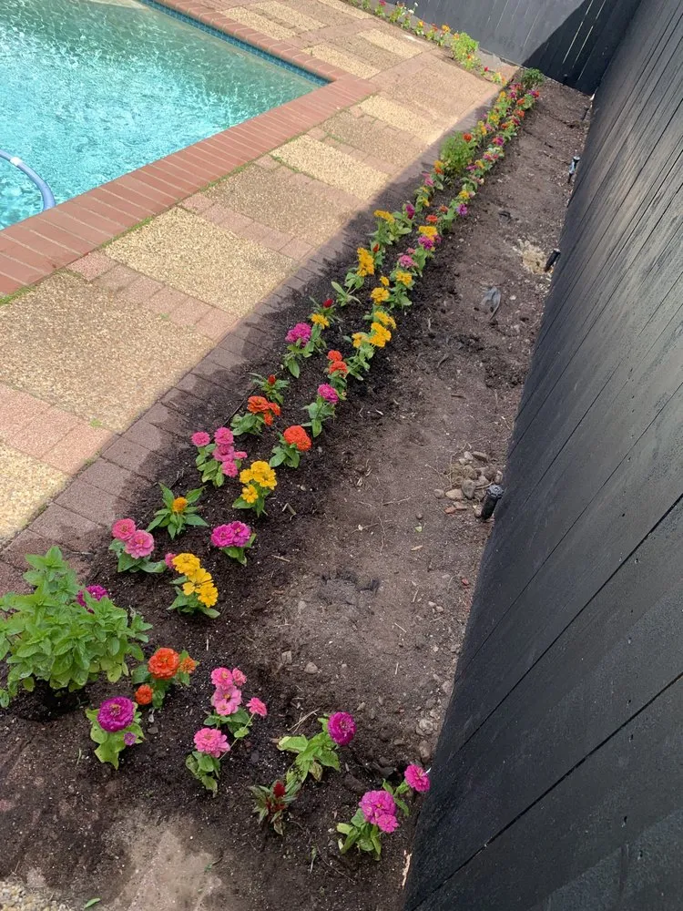 Custom yard maintenance for beautiful yards across Fort Worth, TX - EB lawn care