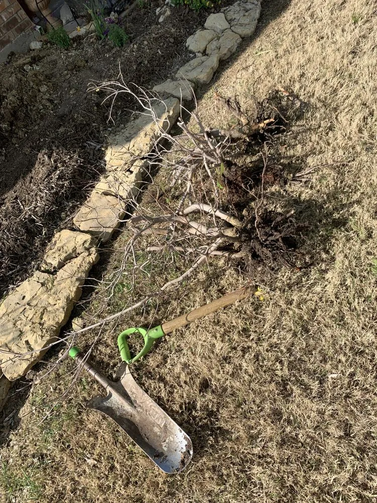 Expert lawn mowing service in Fort Worth, TX by EB lawn care