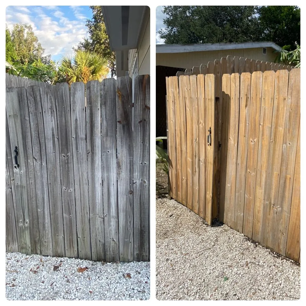 Professional landscaping services in Madeira Beach, FL - EB property solutions