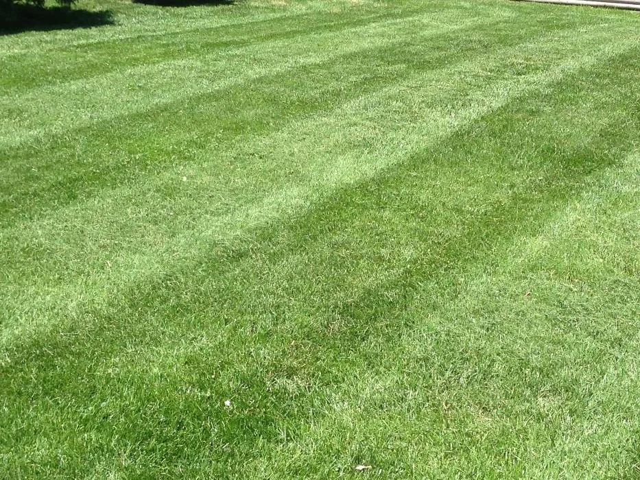 Local garden landscaping near you across Madison, WI - EB3 Snow Removal