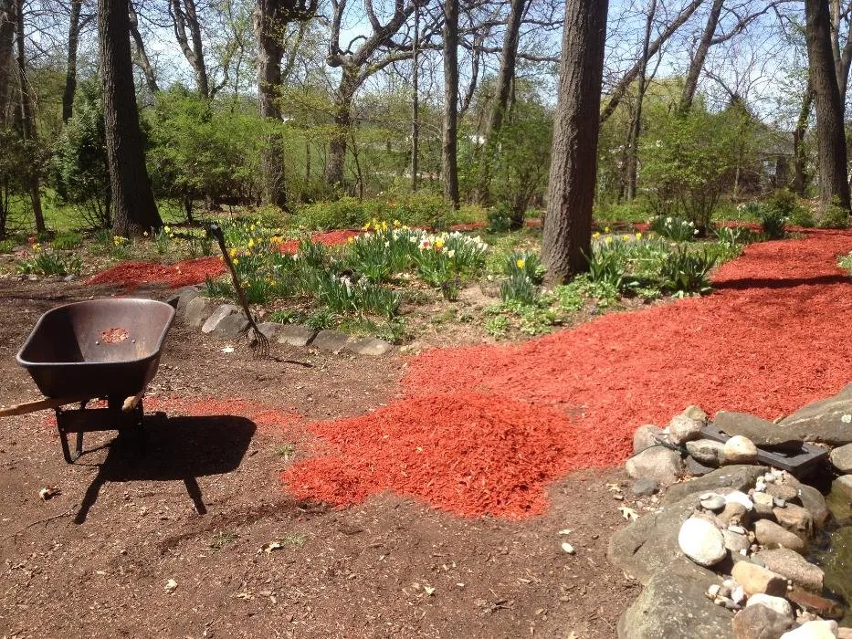 Affordable landscape design for beautiful yards across Madison, WI - EB3 Snow Removal