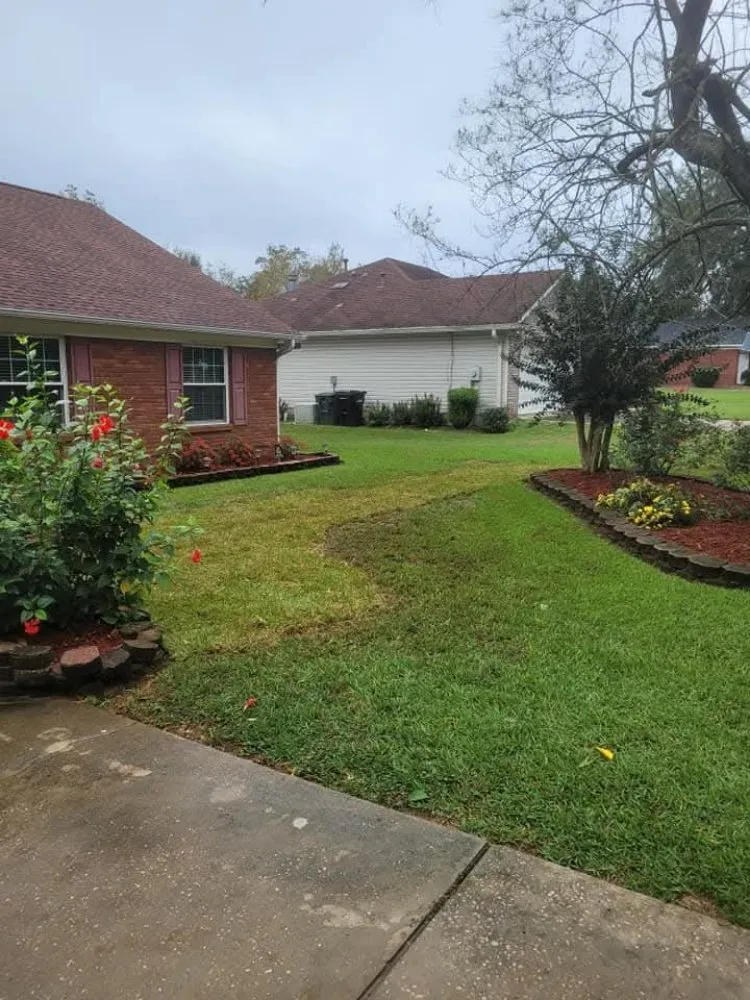 Top-rated garden landscaping in Jamaica, NY - Ebanks Solutions