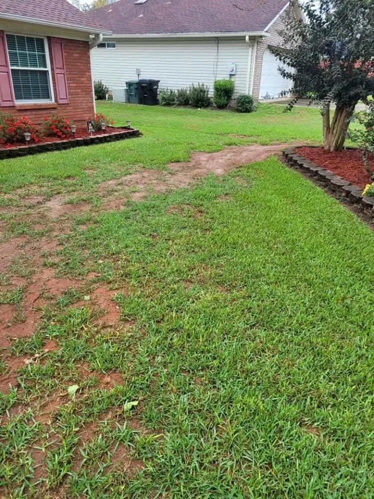 Reliable landscape design for homes in Jamaica, NY by Ebanks Solutions