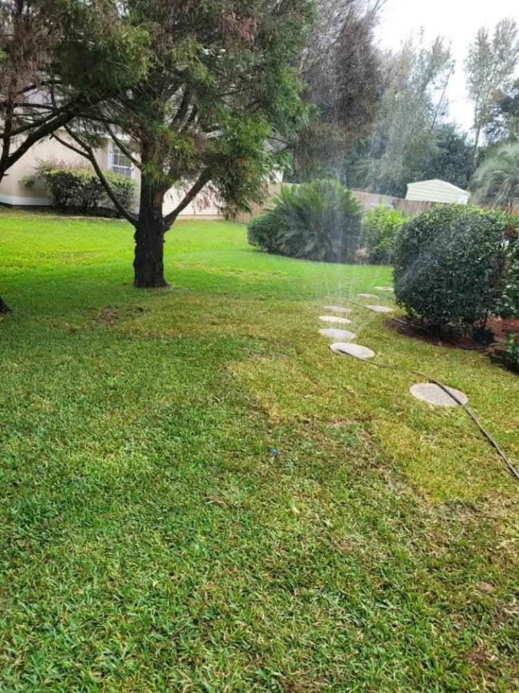 Trusted outdoor landscaping in Jamaica, NY by Ebanks Solutions