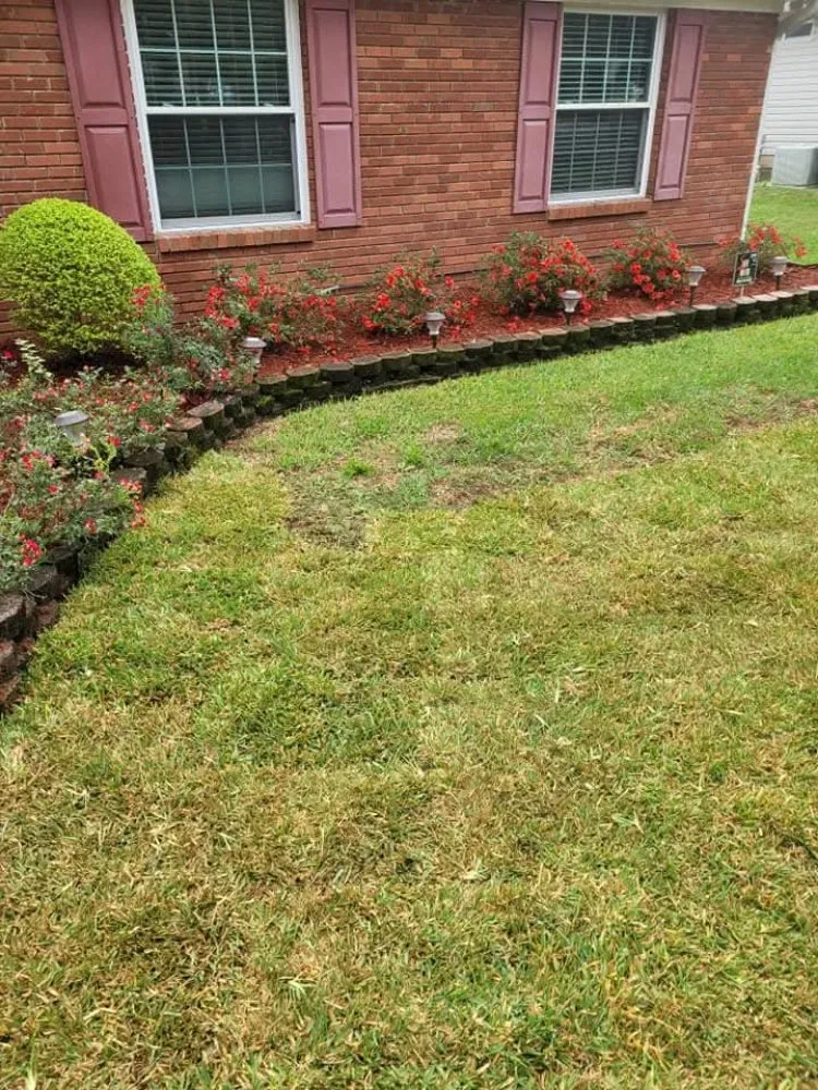 Custom landscaping services for year-round maintenance in Jamaica, NY by Ebanks Solutions
