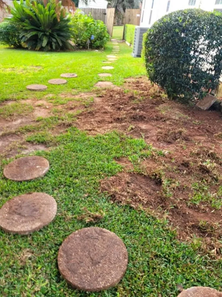 Top-rated yard maintenance for residential properties in Jamaica, NY by Ebanks Solutions