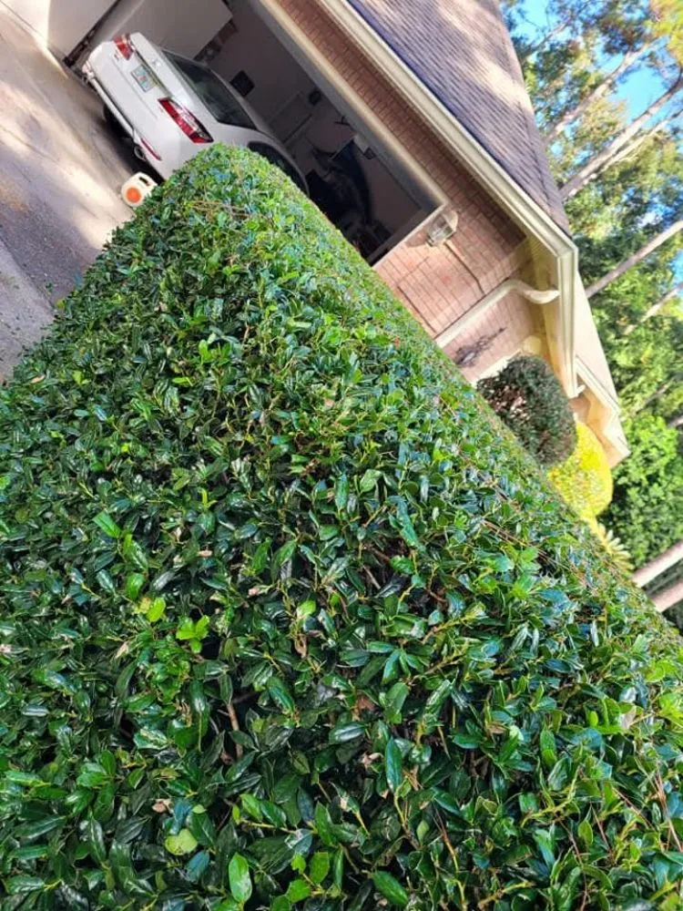 Reliable garden landscaping in Jamaica, NY - Ebanks Solutions