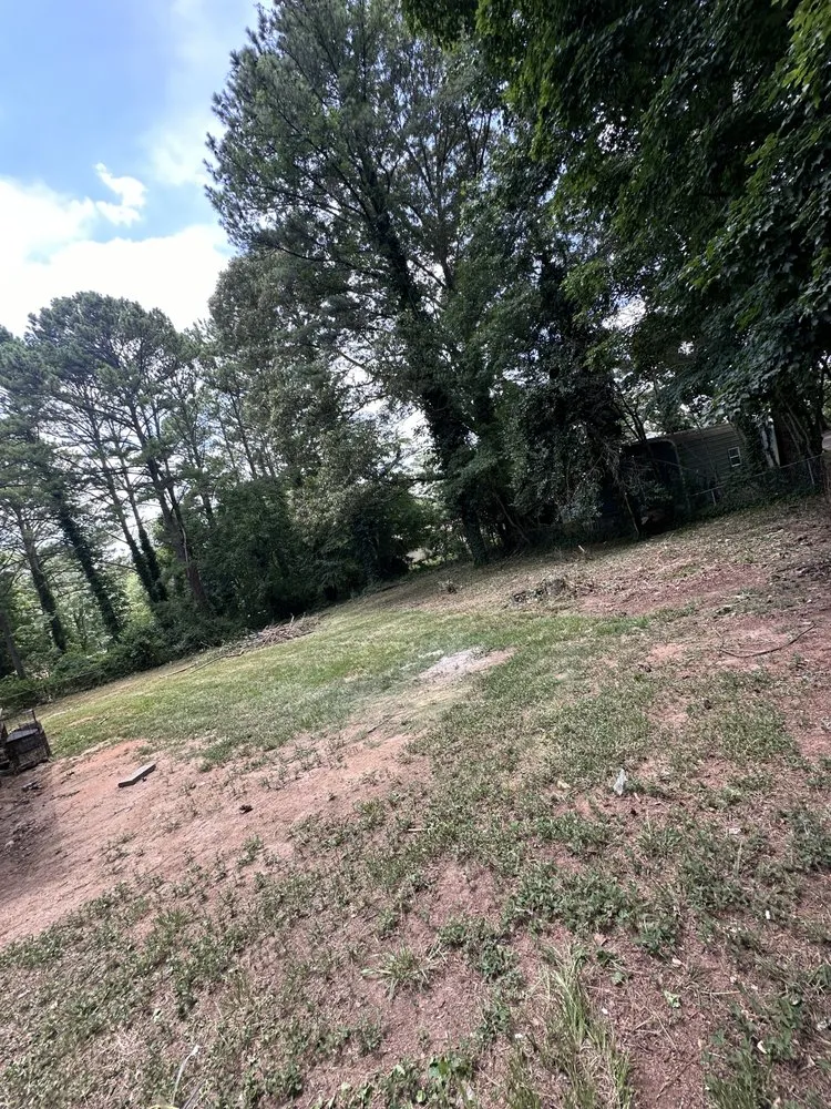 Expert lawn care service with custom design in Morrow, GA by Eben Ezen