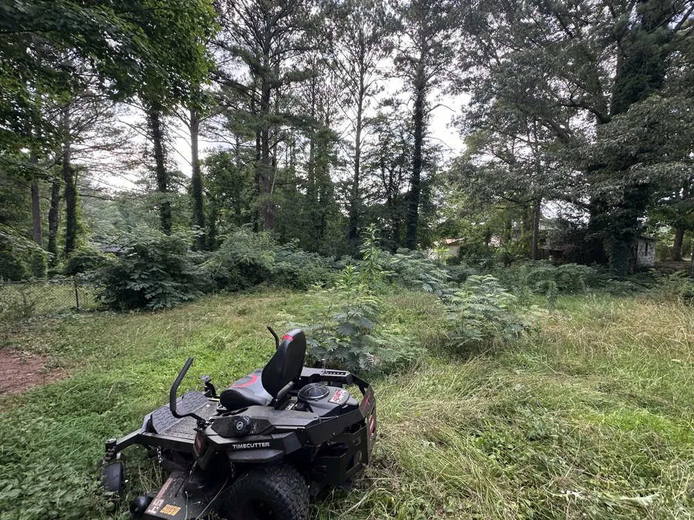 Expert outdoor landscaping for residential properties across Morrow, GA - Eben Ezen