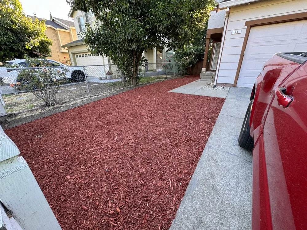 Reliable lawn mowing service experts serving Hayward, CA - Eben Ezer Best Garden & Landscaping services