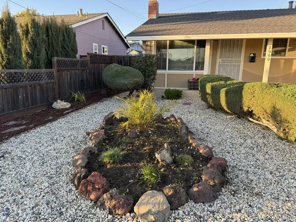 Trusted lawn care service in Hayward, CA - Eben Ezer Best Garden & Landscaping services
