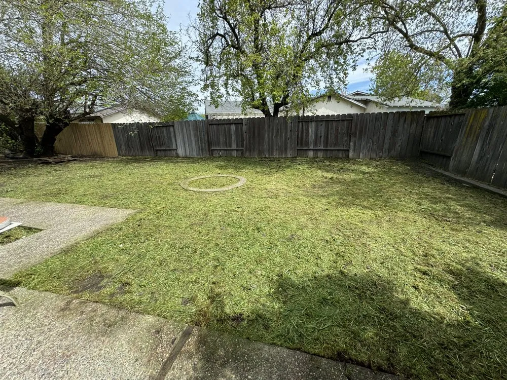 Affordable lawn mowing service in Hayward, CA by Eben Ezer Best Garden & Landscaping services