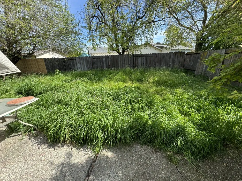 Trusted yard cleanup service with custom design in Hayward, CA by Eben Ezer Best Garden & Landscaping services