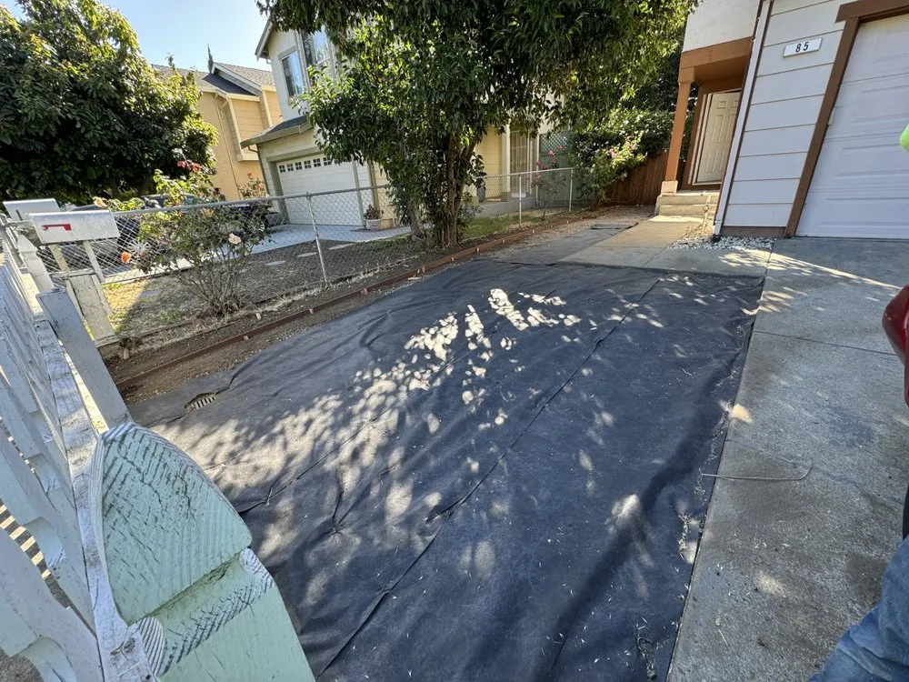 Local yard cleanup service with custom design across Hayward, CA - Eben Ezer Best Garden & Landscaping services