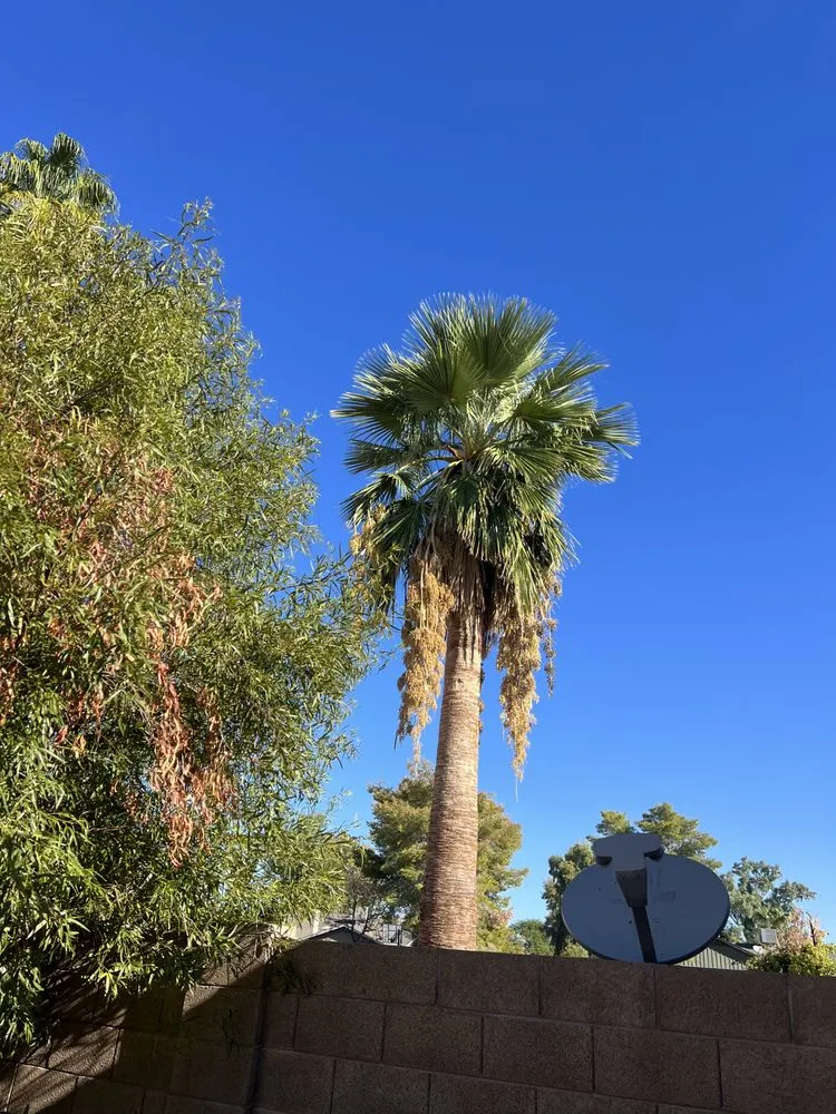 Affordable garden landscaping experts serving Scottsdale, AZ - Eben Ezer Landscape & Hardscape