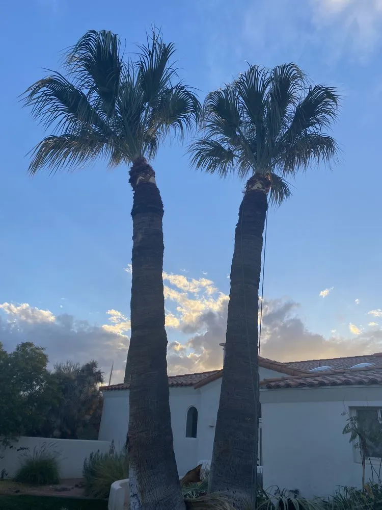 Local garden landscaping in Scottsdale, AZ - Eben Ezer Landscape & Hardscape