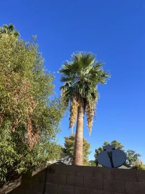 Eben Ezer Landscape & Hardscape Logo