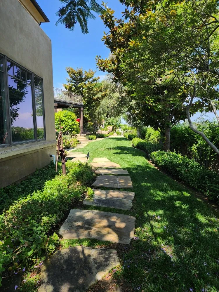 Affordable outdoor landscaping experts serving Santa Ana, CA - Ebenezer Landscape